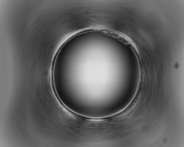 X0000099291343200805090921