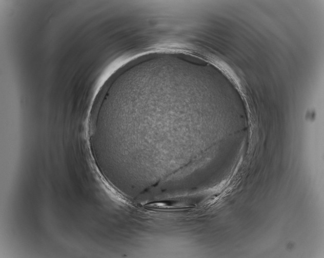 X0000099291344200805090921