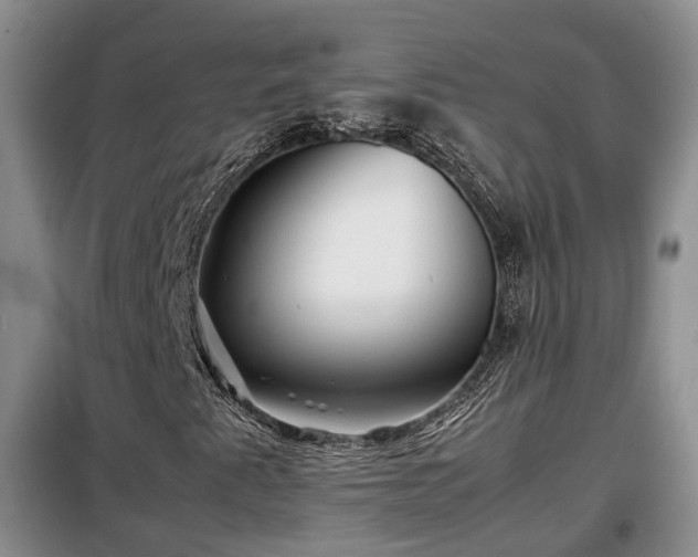 X0000099291345200805090920