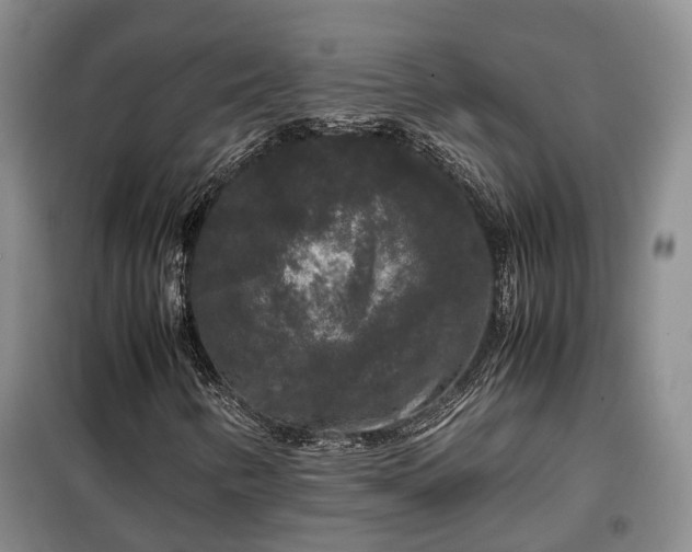 X0000099291346200805090920