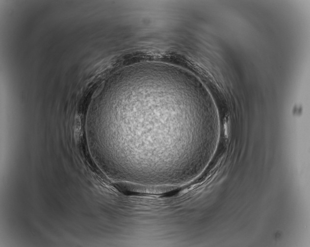 X0000099291347200805090920