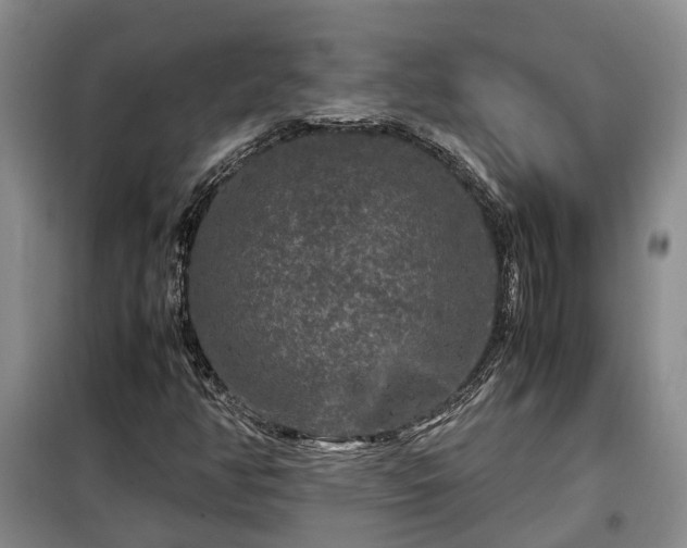 X0000099291350200805090920