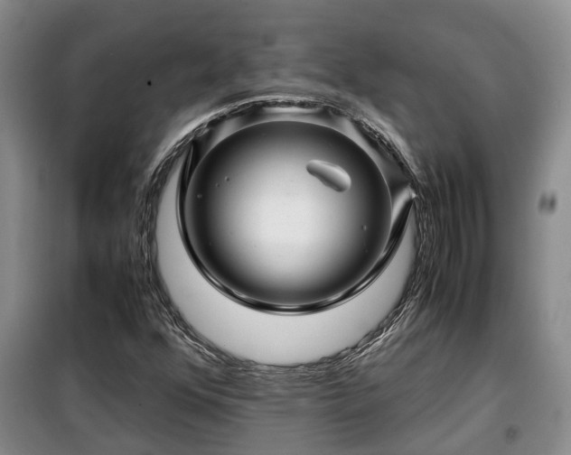 X0000099291352200805090920