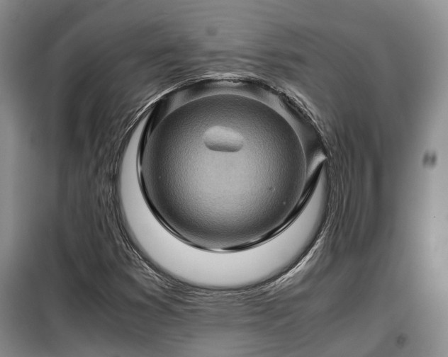 X0000099291353200805090920