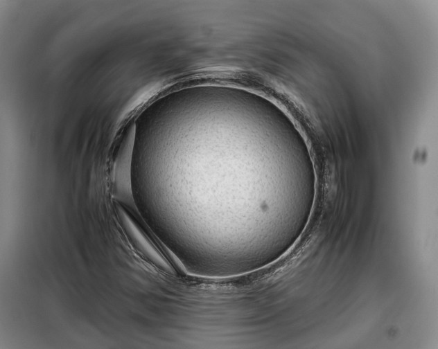 X0000099291354200805090920
