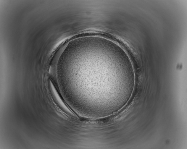 X0000099291355200805090920