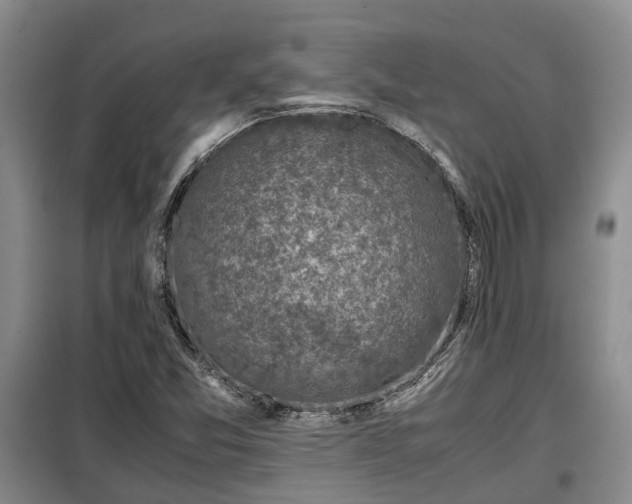 X0000099291357200805090920