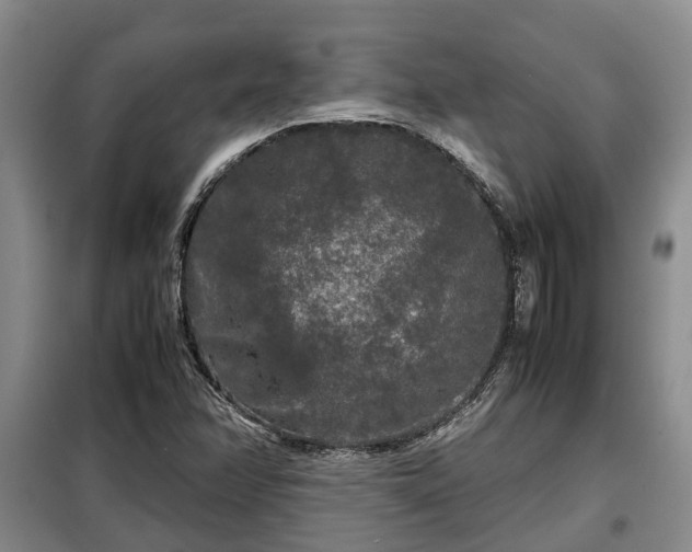 X0000099291358200805090920