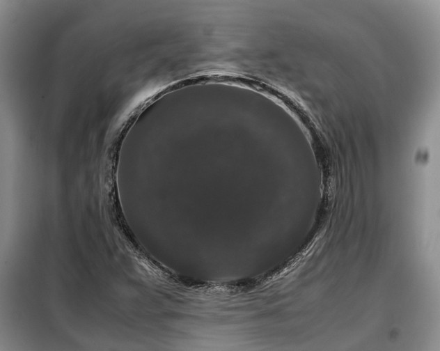 X0000099291359200805090920