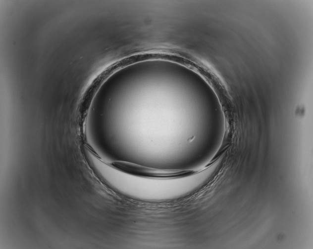 X0000099291360200805090920
