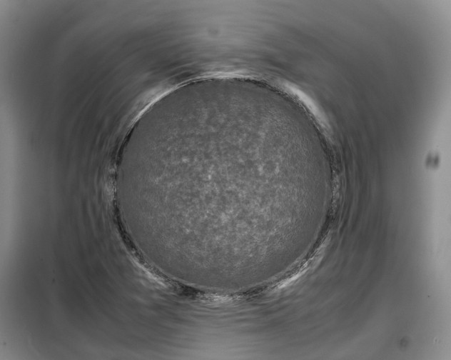 X0000099291361200805090920