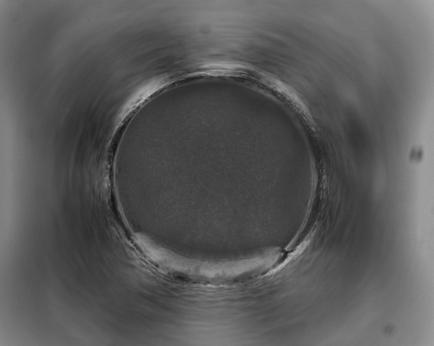 X0000099291362200805090920