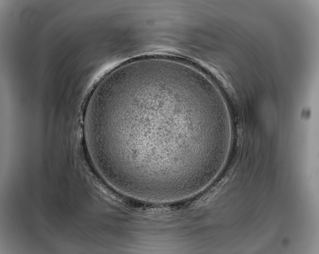 X0000099291363200805090920