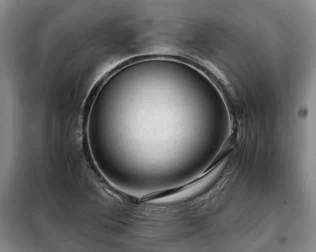 X0000099291364200805090920