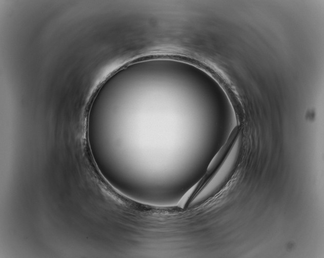 X0000099291366200805090920