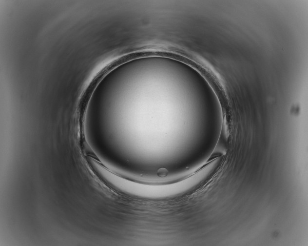X0000099291368200805090920