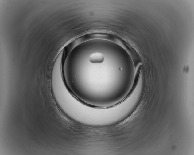 X0000099291369200805090920