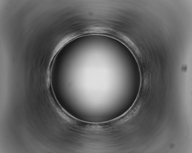X0000099291370200805090920