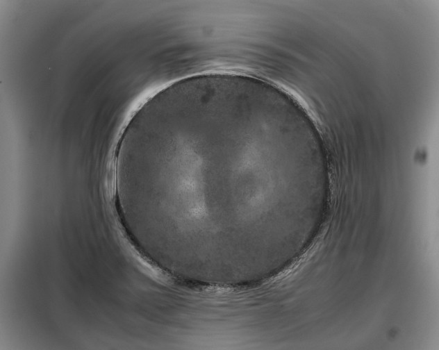 X0000099291371200805090920