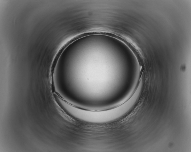 X0000099291372200805090920