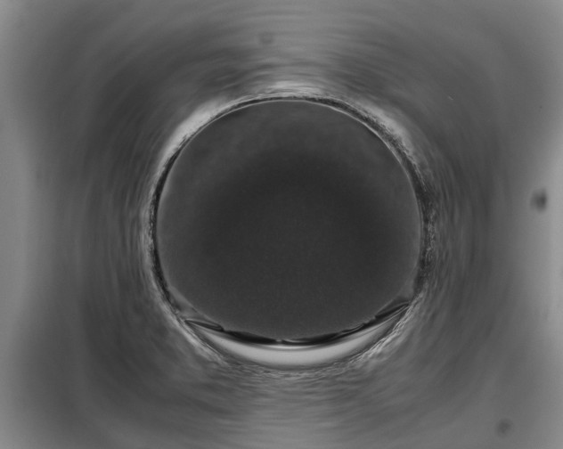 X0000099291373200805090920