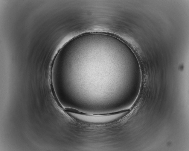 X0000099291374200805090920