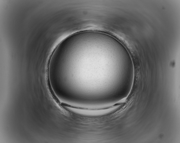 X0000099291375200805090920