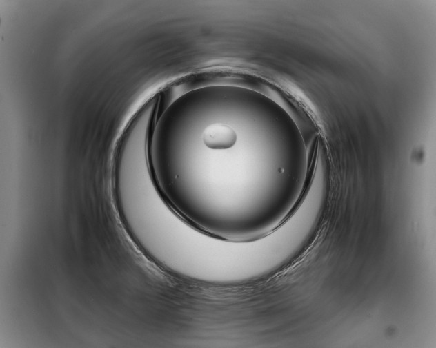 X0000099291376200805090920