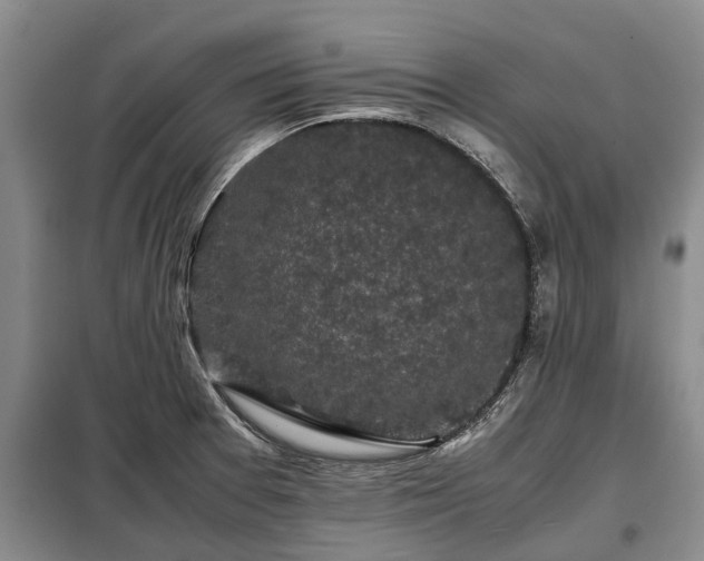 X0000099291377200805090920