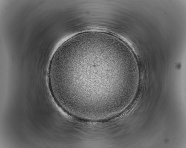X0000099291379200805090920