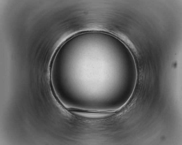 X0000099291380200805090920