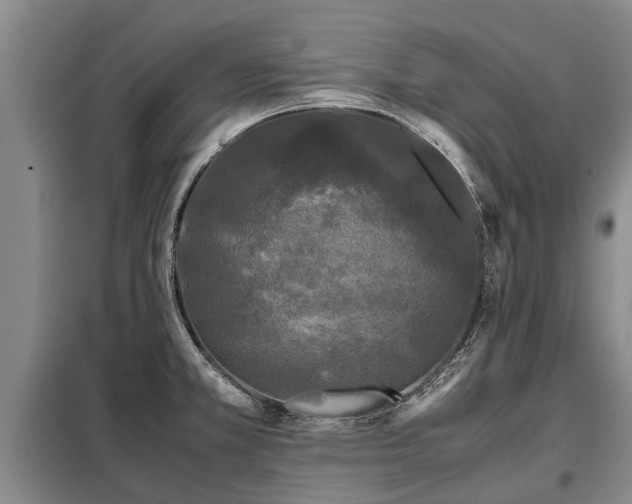 X0000099291381200805090919