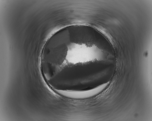 X0000099291383200805090919