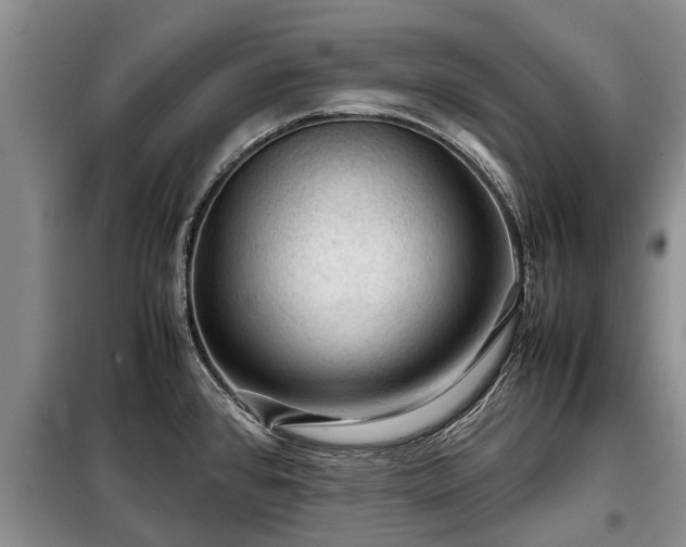 X0000099291384200805090919