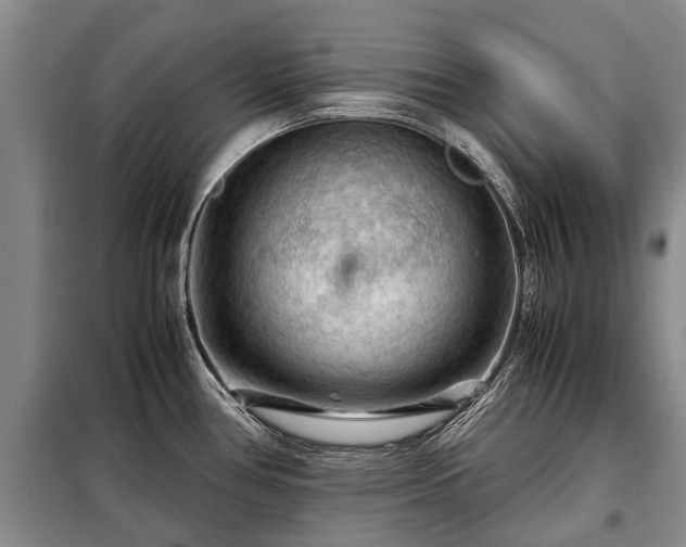 X0000099291386200805090919