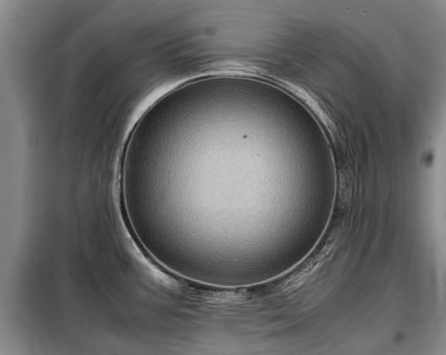 X0000099291387200805090919
