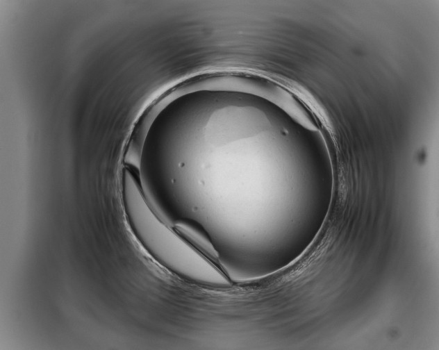 X0000099291388200805090919