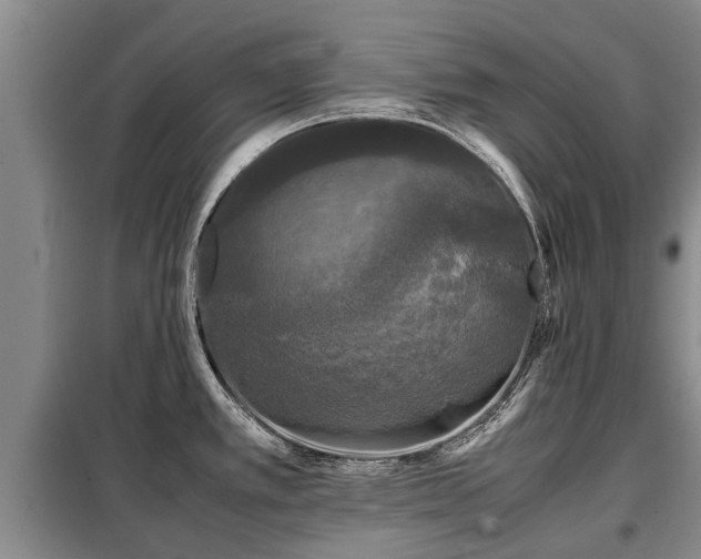 X0000099291389200805090919