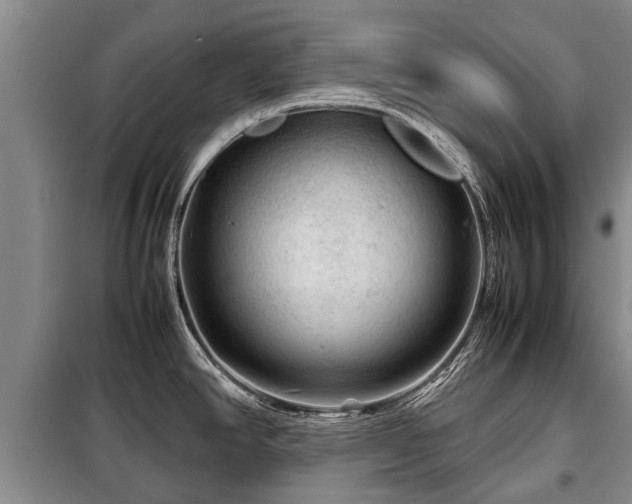 X0000099291390200805090919