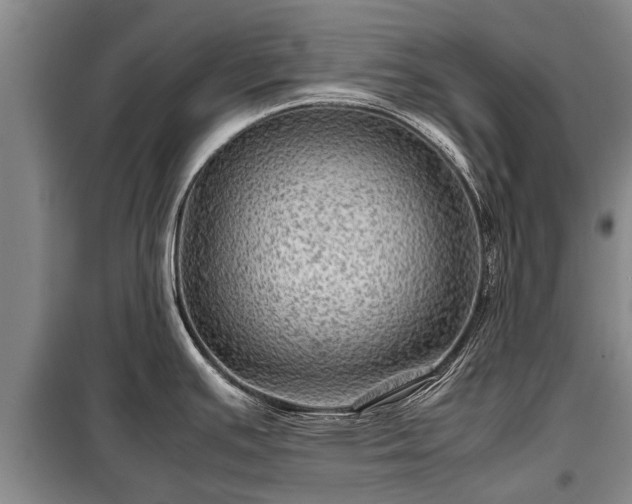 X0000099291391200805090919