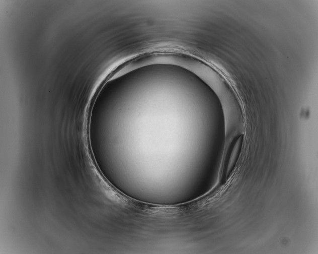 X0000099291392200805090919