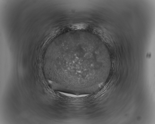 X0000099291393200805090919
