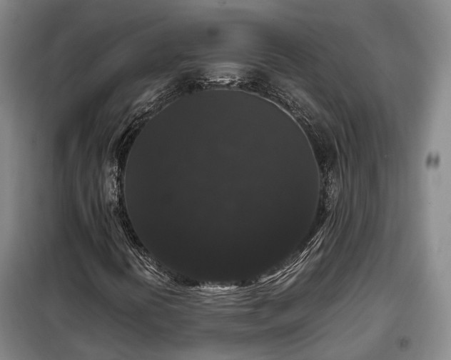 X0000099291394200805090919