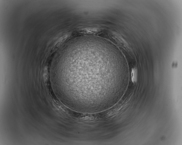 X0000099291395200805090919