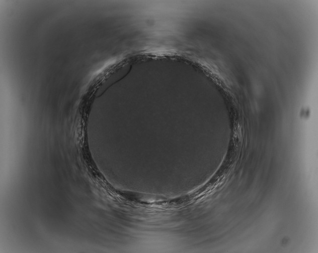 X0000099291398200805090919
