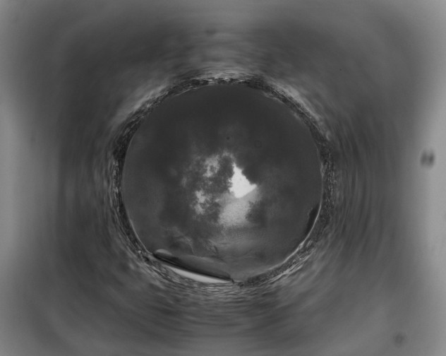 X0000099291399200805090919