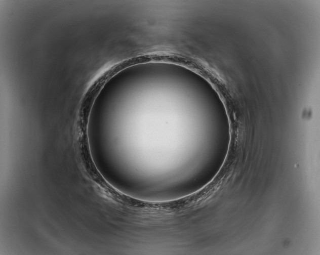 X0000099291400200805090919