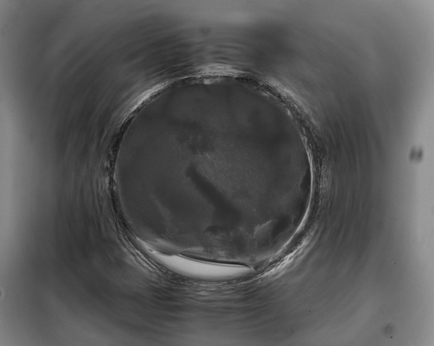 X0000099291401200805090919