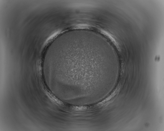 X0000099291403200805090919