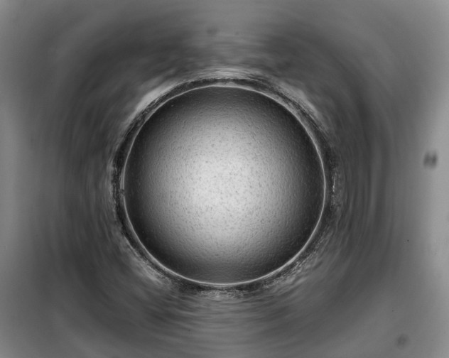 X0000099291404200805090919